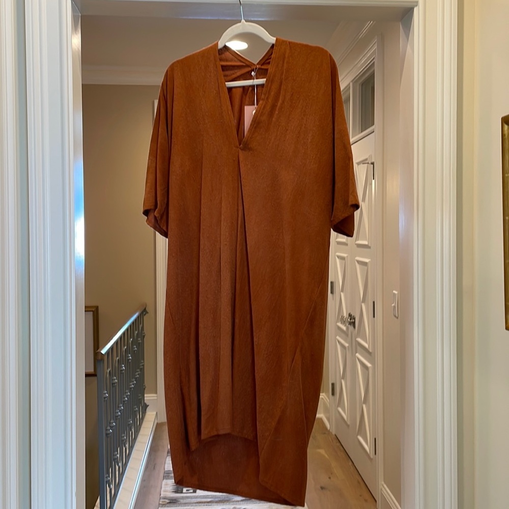 Miranda Bennett Muse Dress in Rust Silk Noil